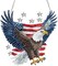 Eagle Diamond Art Hanging Kit for Adult, Special Shaped Rhinestone, DIY Acrylic 5D Diamond Art Painting Window Pendants Home Garden Wall Hanging Kits Hanging Ornament
